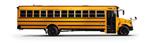 Bus Drivers 